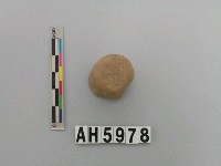 藏品(灰褐色夾砂陶鈕)的圖片